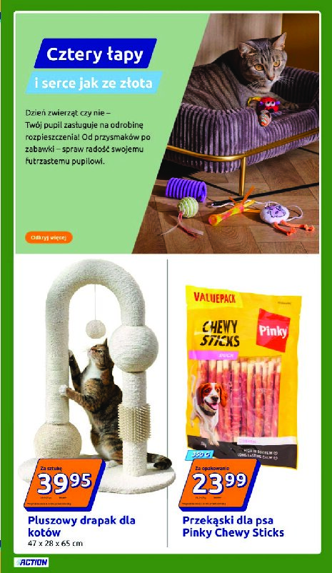 Gazetka Action 16/09/2026 – 22/09/2026 - gazetki promocyjne str. 31