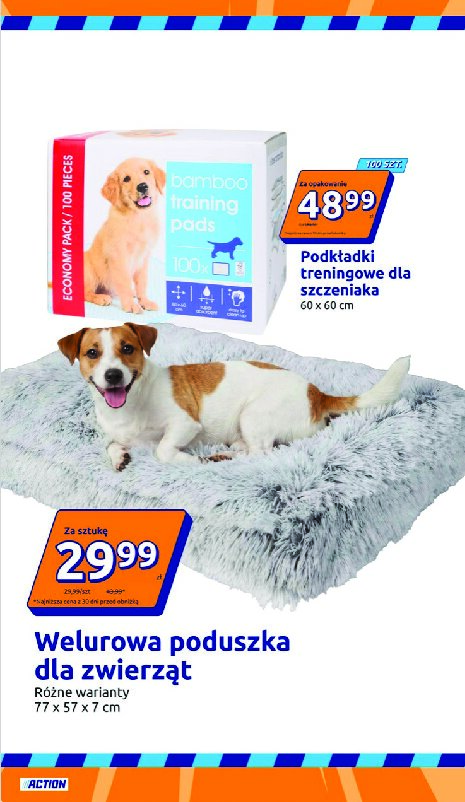 Gazetka Action 23/09/2026 – 29/09/2026 - gazetki promocyjne str. 14