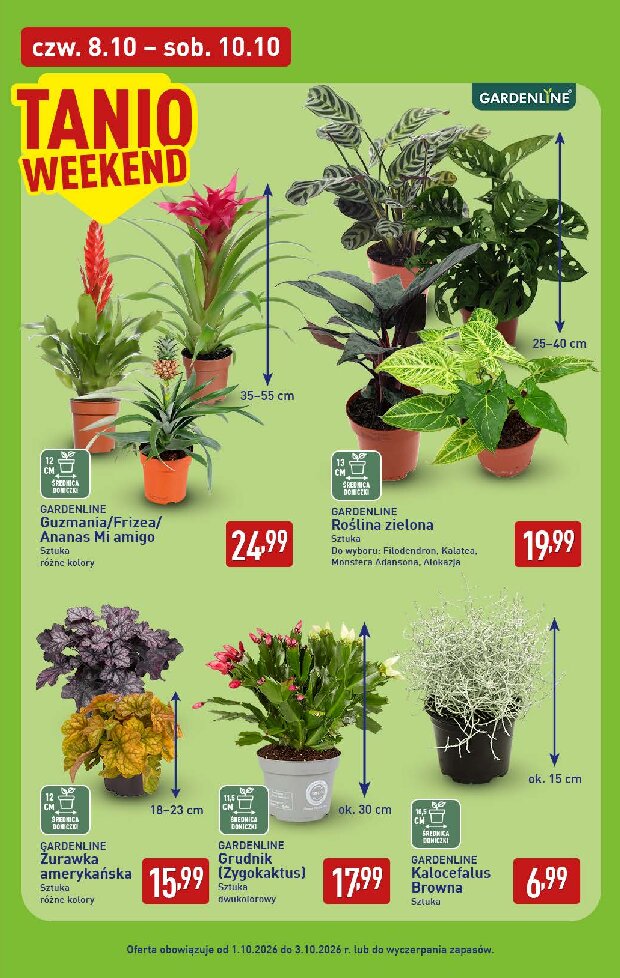 Gazetka Aldi 05/10/2026 – 10/10/2026 - gazetki promocyjne str. 39