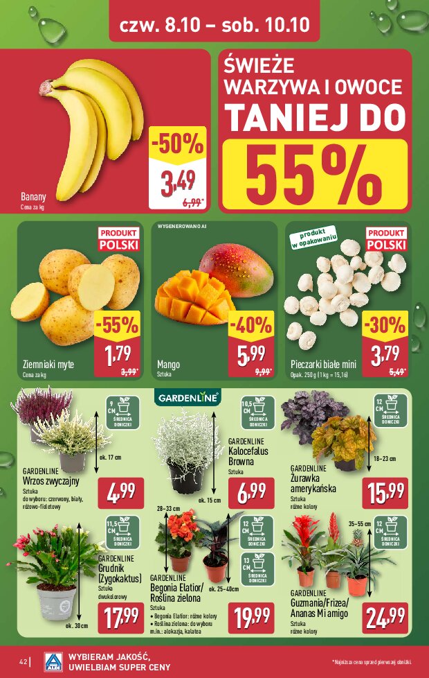 Gazetka Aldi 05/10/2026 – 10/10/2026 - gazetki promocyjne str. 42