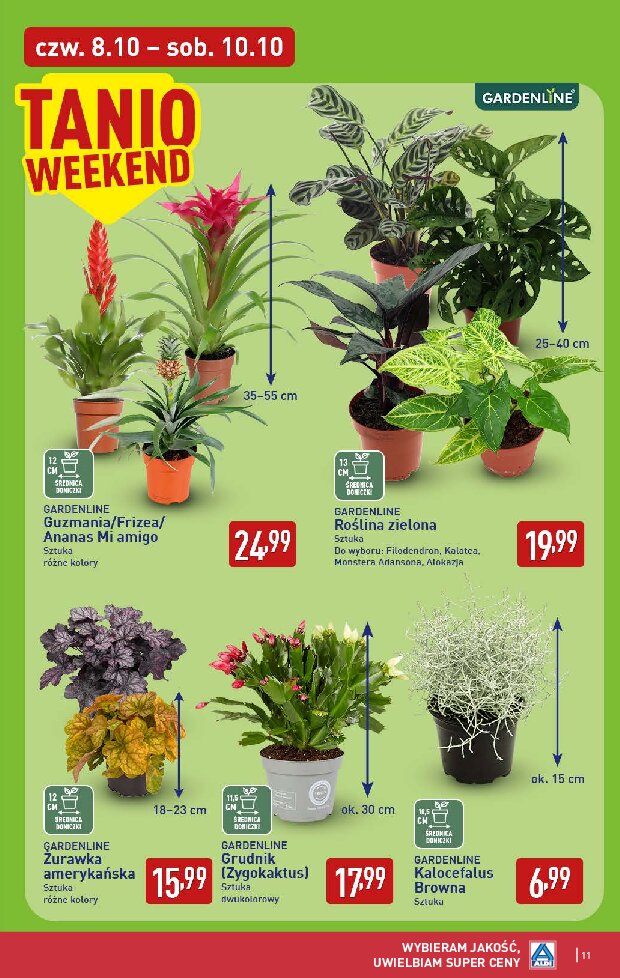 Gazetka Aldi 08/10/2026 – 10/10/2026 - gazetki promocyjne str. 11