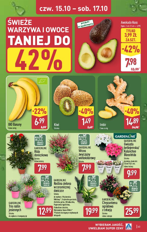 Gazetka Aldi 12/10/2026 – 17/10/2026 - gazetki promocyjne str. 43