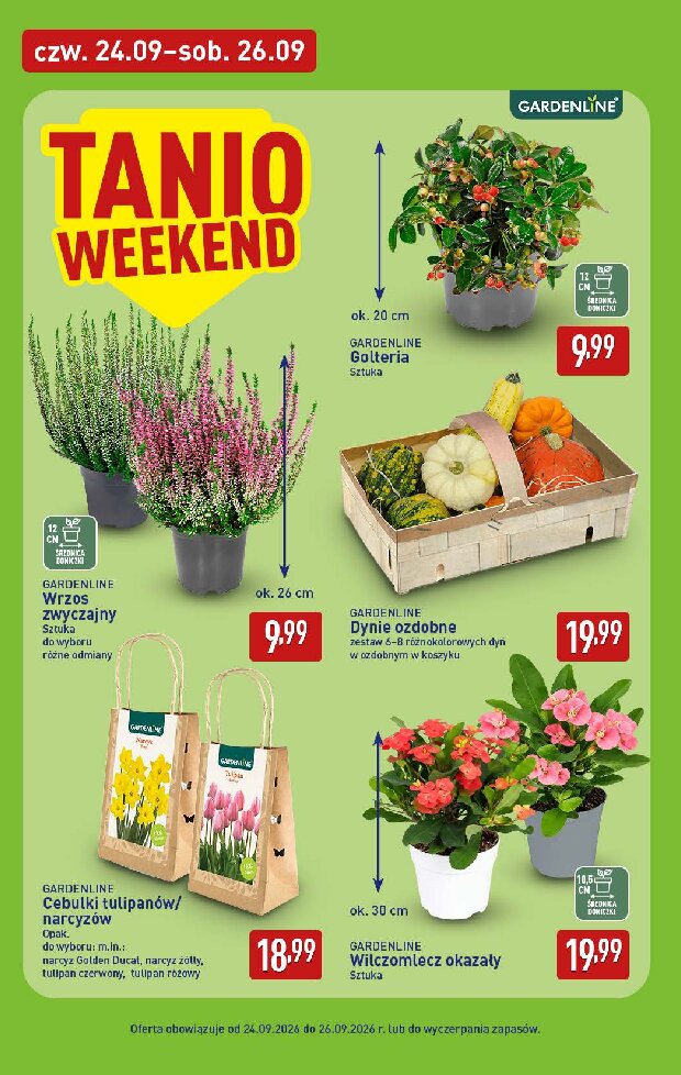 Gazetka Aldi 24/09/2026 – 26/09/2026 - gazetki promocyjne str. 6