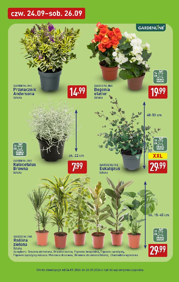 Gazetka Aldi 24/09/2026 – 26/09/2026 - gazetki promocyjne str. 7