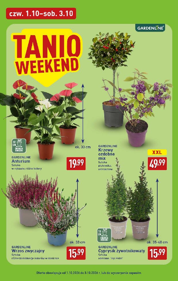 Gazetka Aldi 28/09/2026 – 03/10/2026 - gazetki promocyjne str. 42