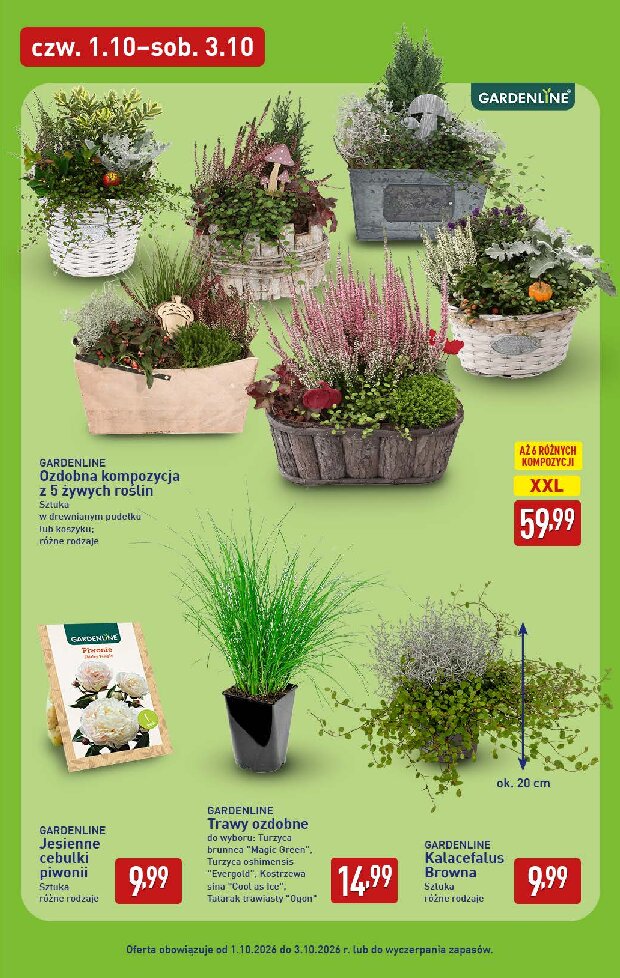 Gazetka Aldi 28/09/2026 – 03/10/2026 - gazetki promocyjne str. 43