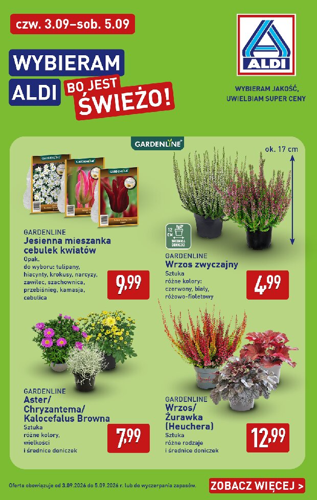 Gazetka Aldi 31/08/2026 – 05/09/2026 - gazetki promocyjne str. 38