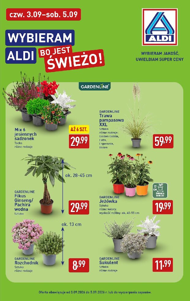Gazetka Aldi 31/08/2026 – 05/09/2026 - gazetki promocyjne str. 39