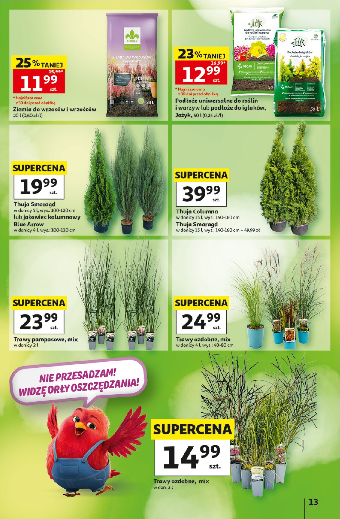 Gazetka Auchan 03/09/2026 – 09/09/2026 - gazetki promocyjne str. 13
