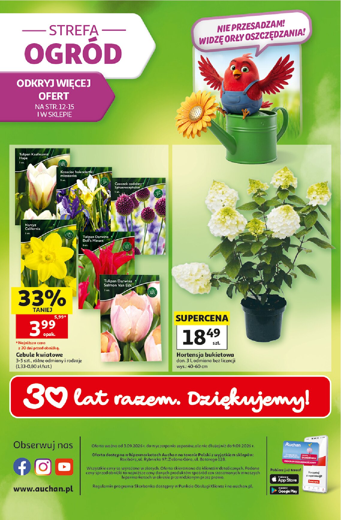 Gazetka Auchan 03/09/2026 – 09/09/2026 - gazetki promocyjne str. 49