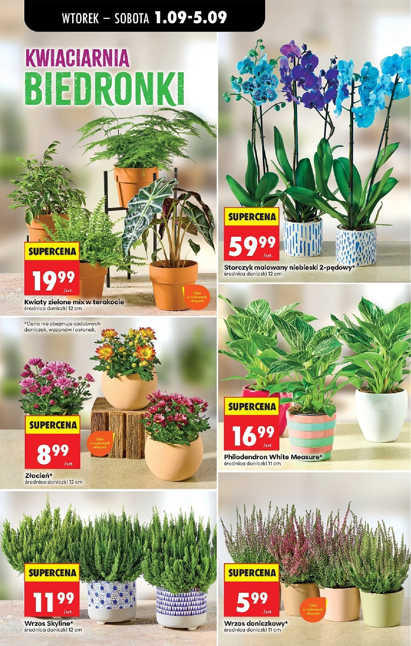 Gazetka Biedronka 01/09/2026 – 05/09/2026 - gazetki promocyjne str. 35