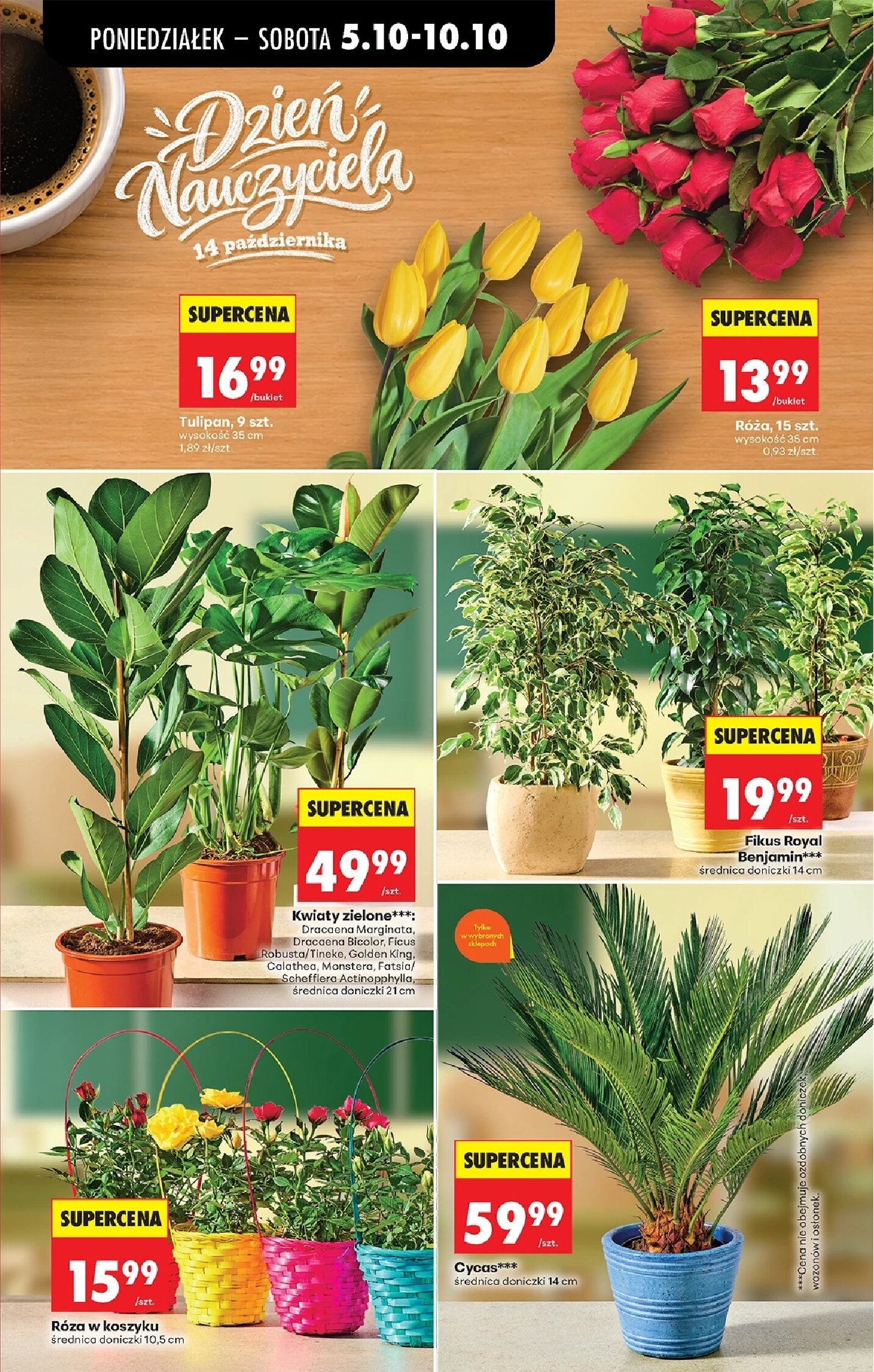 Gazetka Biedronka 05/10/2026 – 10/10/2026 - gazetki promocyjne str. 20