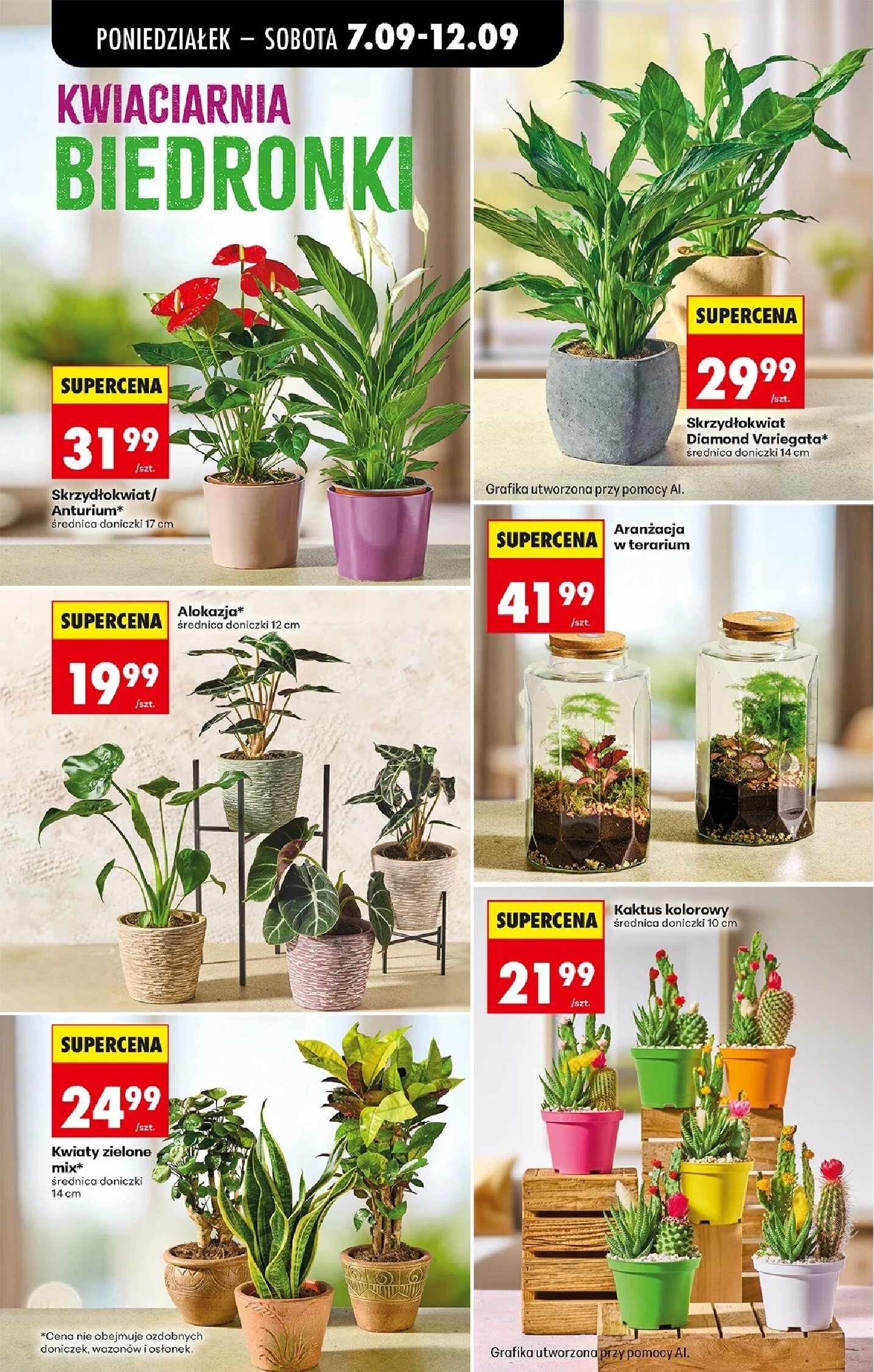 Gazetka Biedronka 07/09/2026 – 12/09/2026 - gazetki promocyjne str. 19