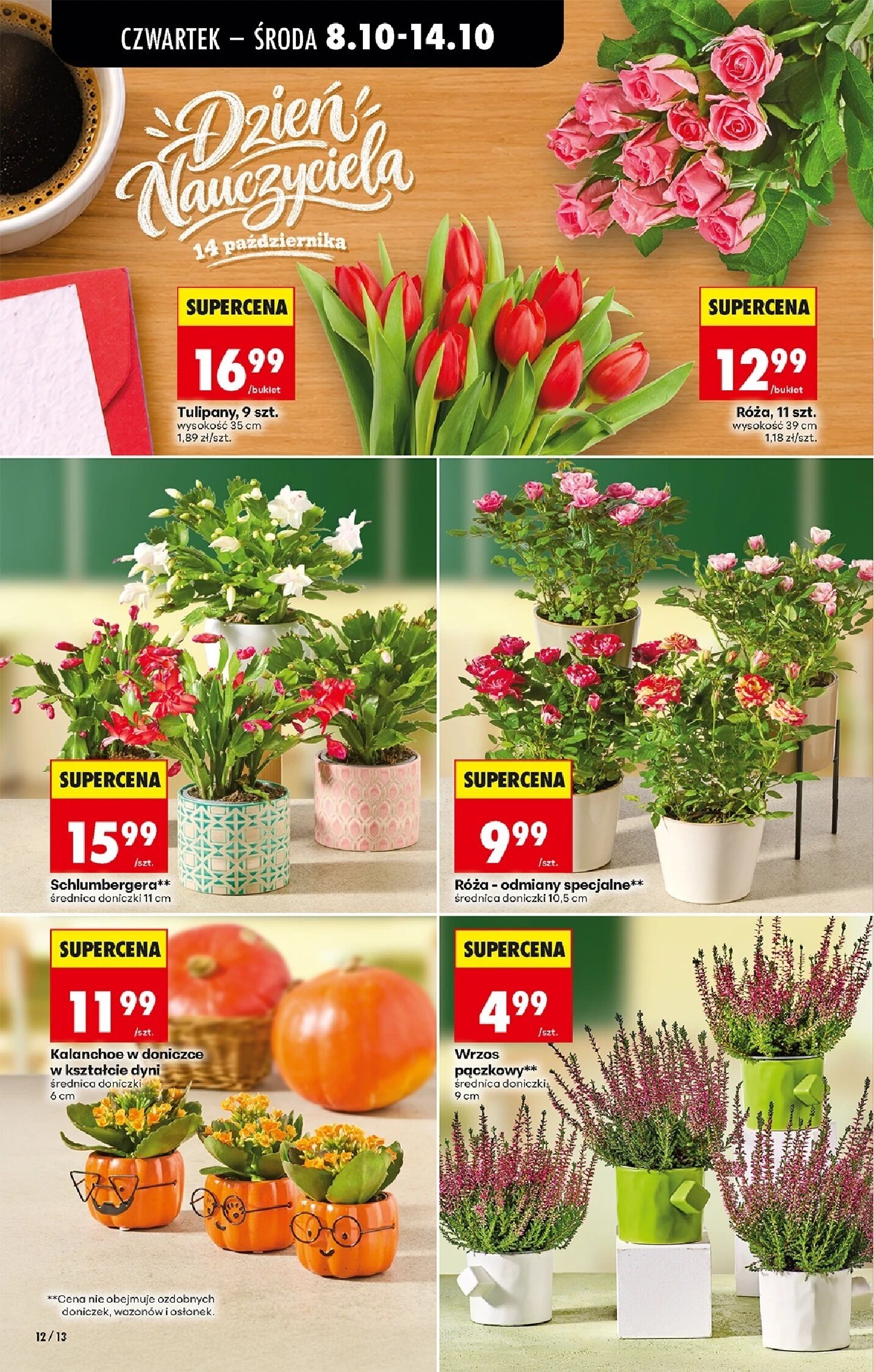 Gazetka Biedronka 08/10/2026 – 14/10/2026 - gazetki promocyjne str. 16
