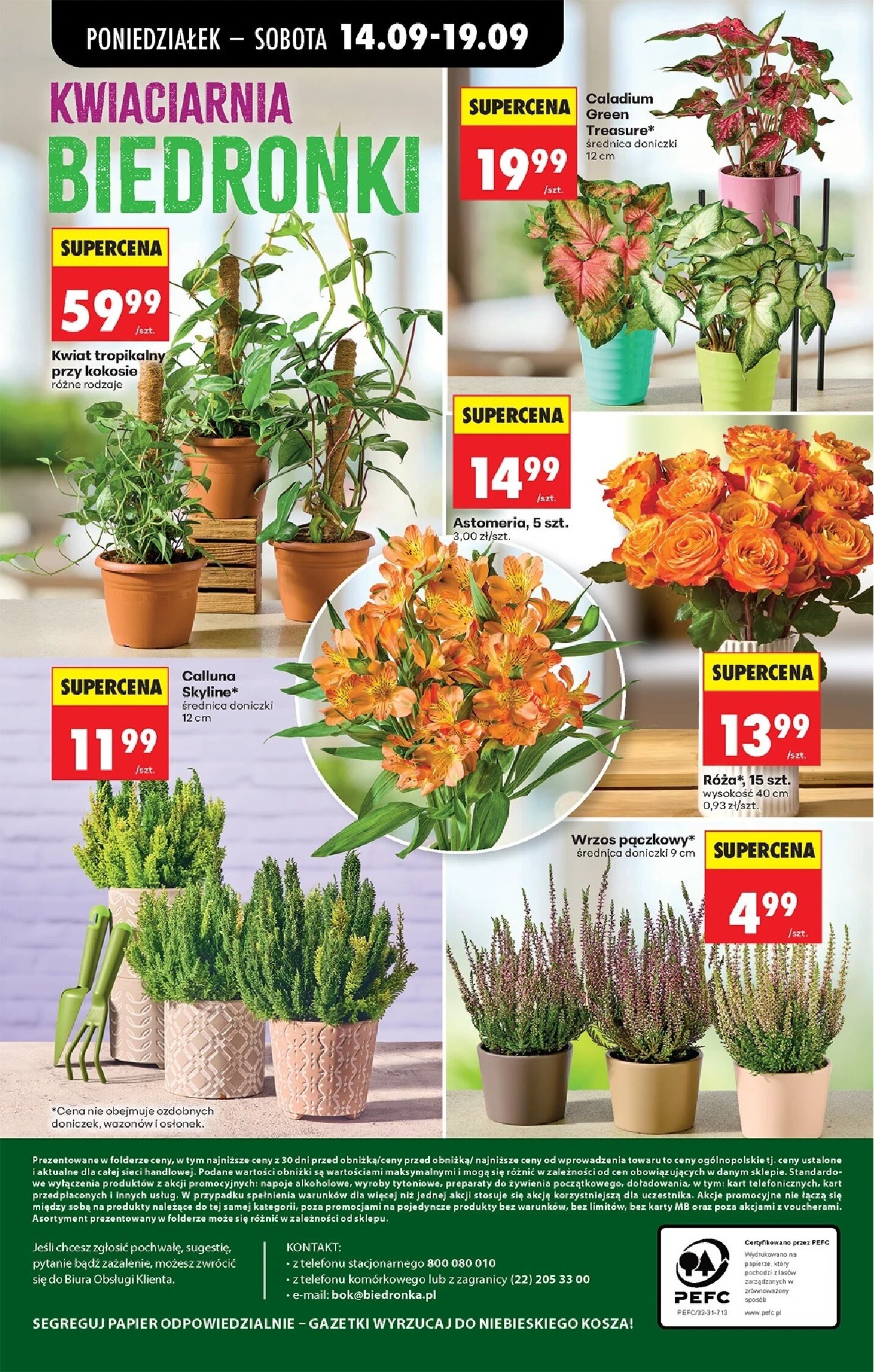 Gazetka Biedronka 14/09/2026 – 19/09/2026 - gazetki promocyjne str. 99