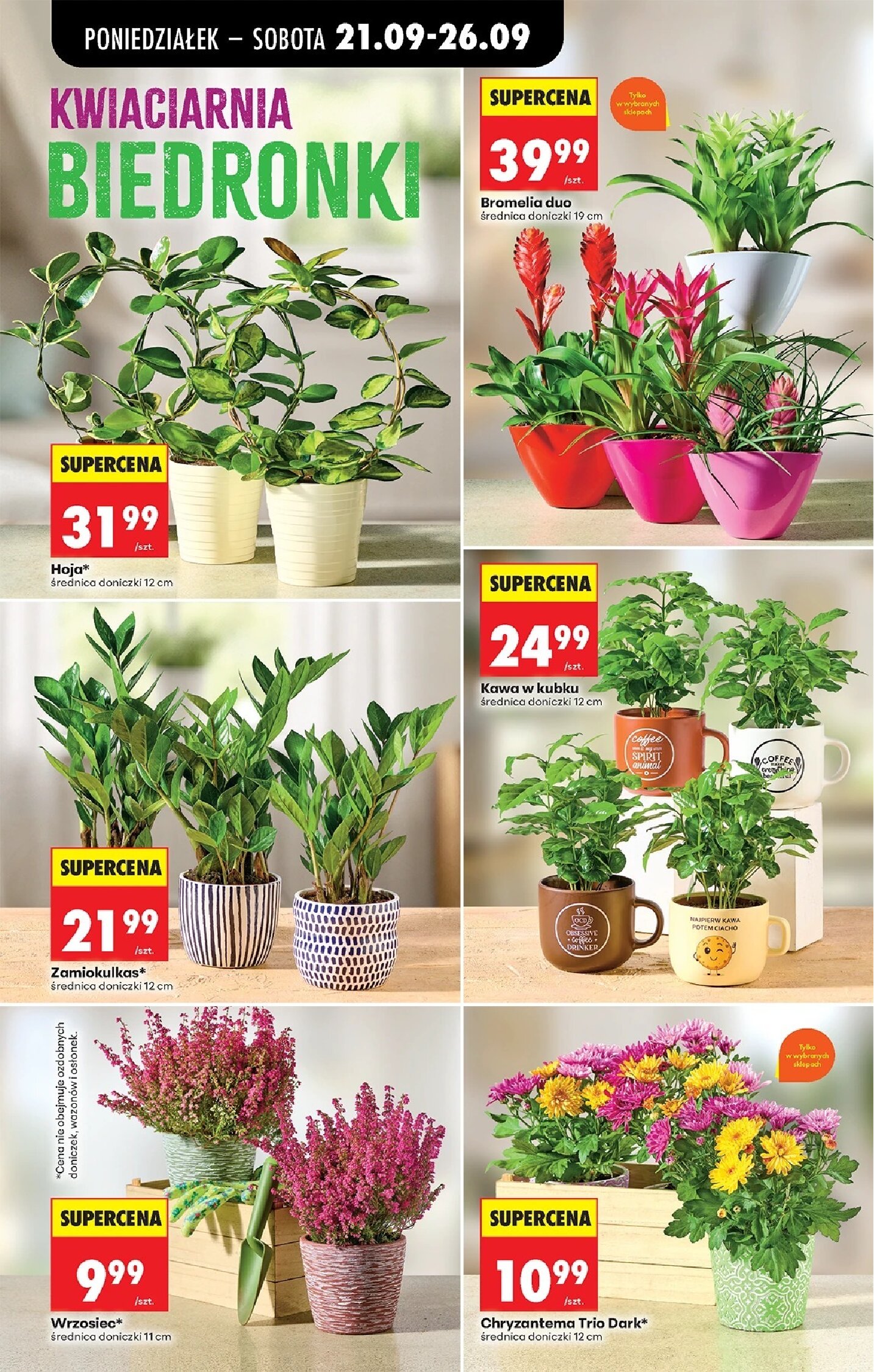 Gazetka Biedronka 21/09/2026 – 26/09/2026 - gazetki promocyjne str. 100