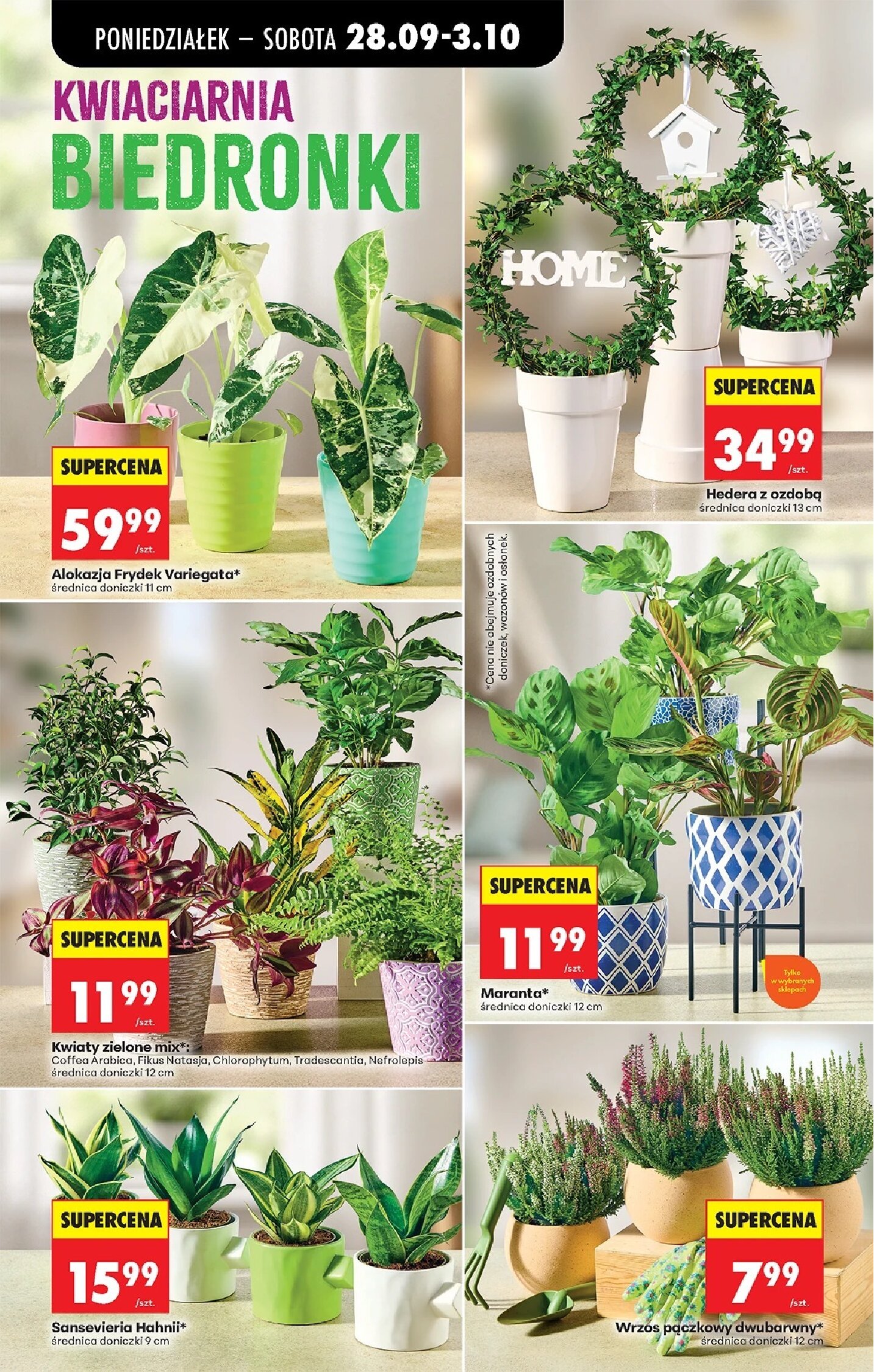 Gazetka Biedronka 28/09/2026 – 03/10/2026 - gazetki promocyjne str. 40