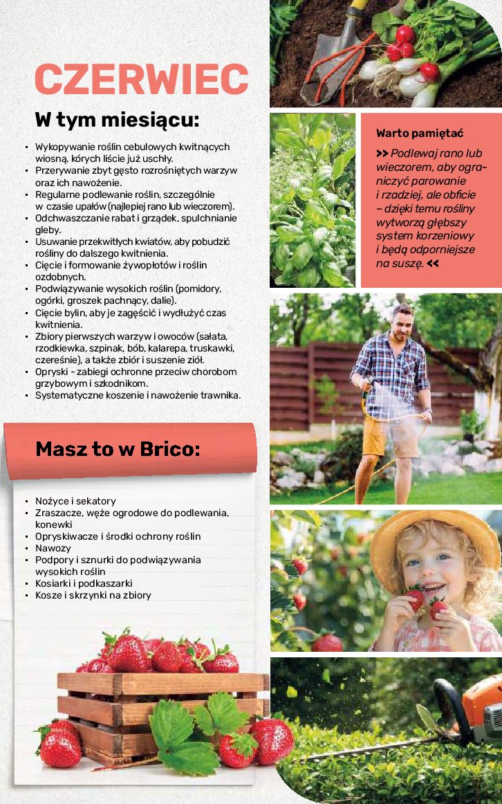 Gazetka Bricomarche 17/08/2026 – 31/10/2026 - gazetki promocyjne str. 105