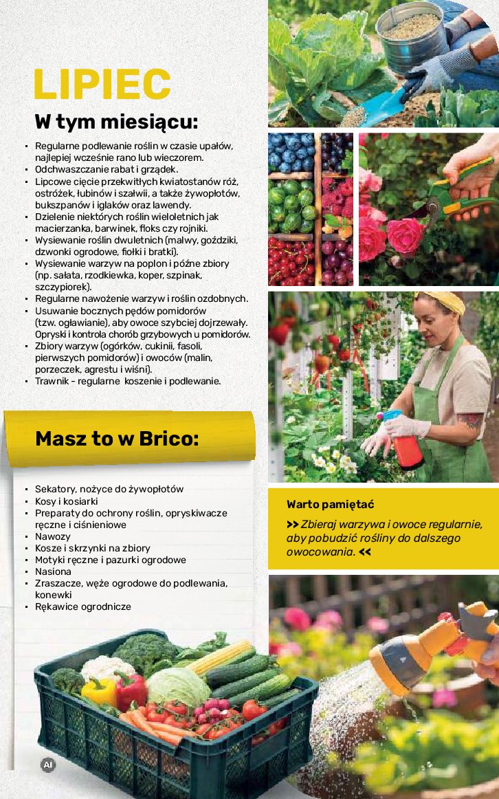Gazetka Bricomarche 17/08/2026 – 31/10/2026 - gazetki promocyjne str. 106