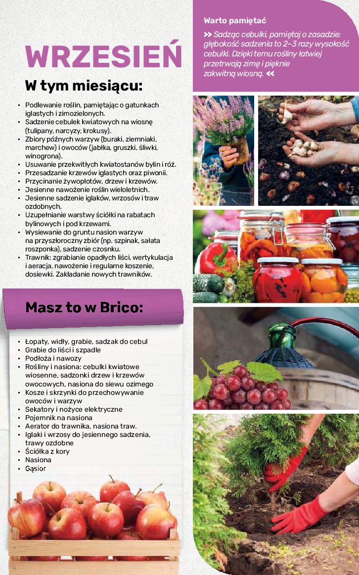 Gazetka Bricomarche 17/08/2026 – 31/10/2026 - gazetki promocyjne str. 108