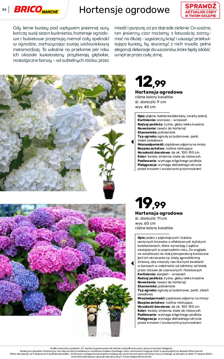 Gazetka Bricomarche 17/08/2026 – 31/10/2026 - gazetki promocyjne str. 26