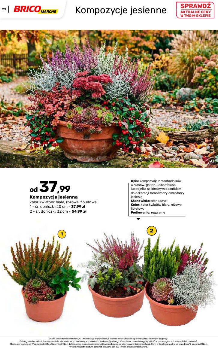Gazetka Bricomarche 17/08/2026 – 31/10/2026 - gazetki promocyjne str. 29