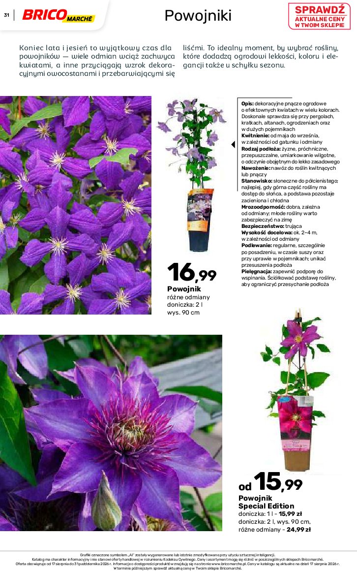 Gazetka Bricomarche 17/08/2026 – 31/10/2026 - gazetki promocyjne str. 31
