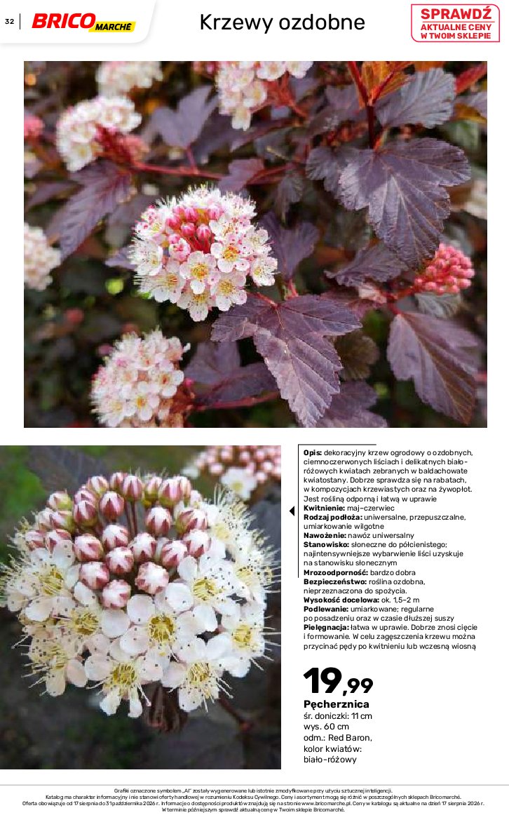Gazetka Bricomarche 17/08/2026 – 31/10/2026 - gazetki promocyjne str. 32