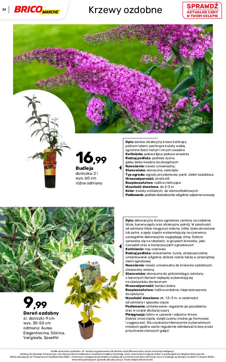 Gazetka Bricomarche 17/08/2026 – 31/10/2026 - gazetki promocyjne str. 34