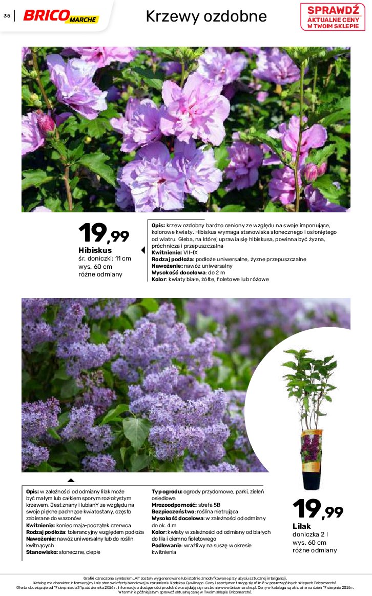 Gazetka Bricomarche 17/08/2026 – 31/10/2026 - gazetki promocyjne str. 35