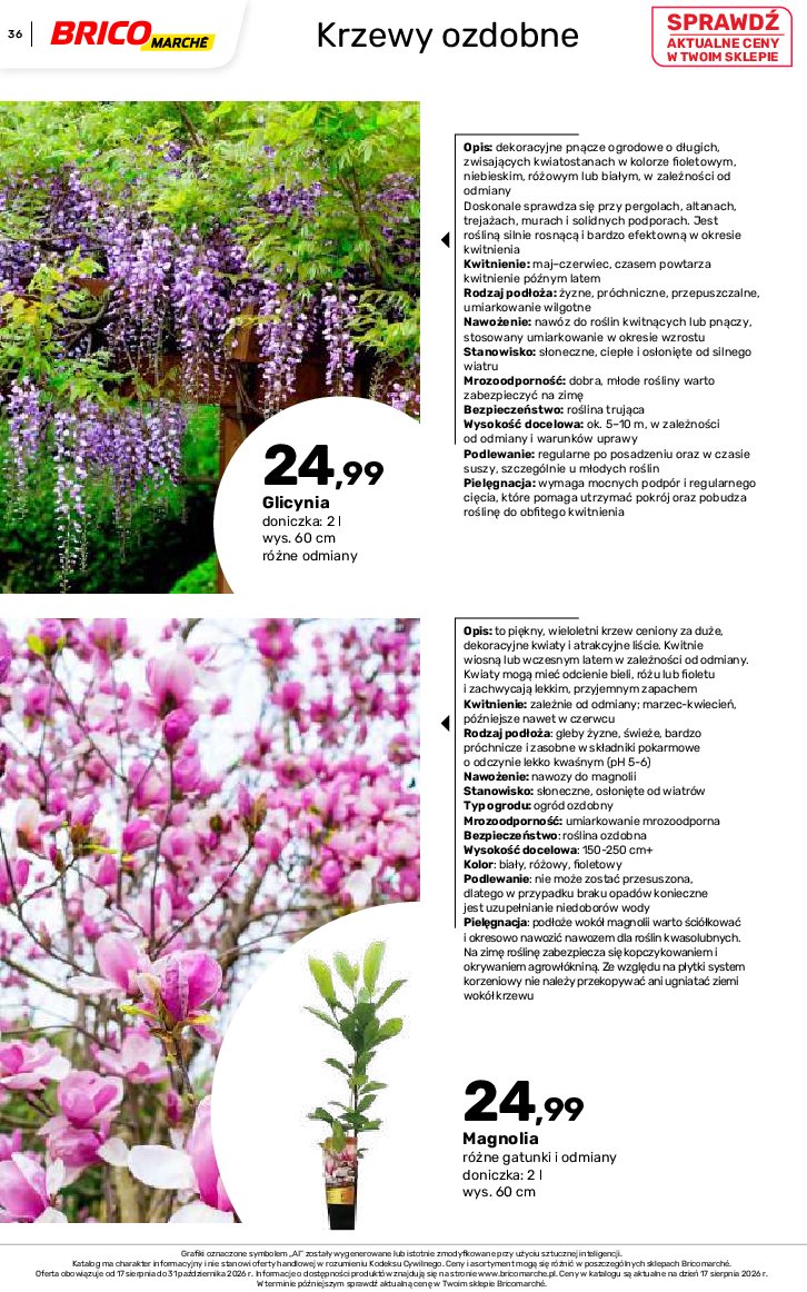 Gazetka Bricomarche 17/08/2026 – 31/10/2026 - gazetki promocyjne str. 36