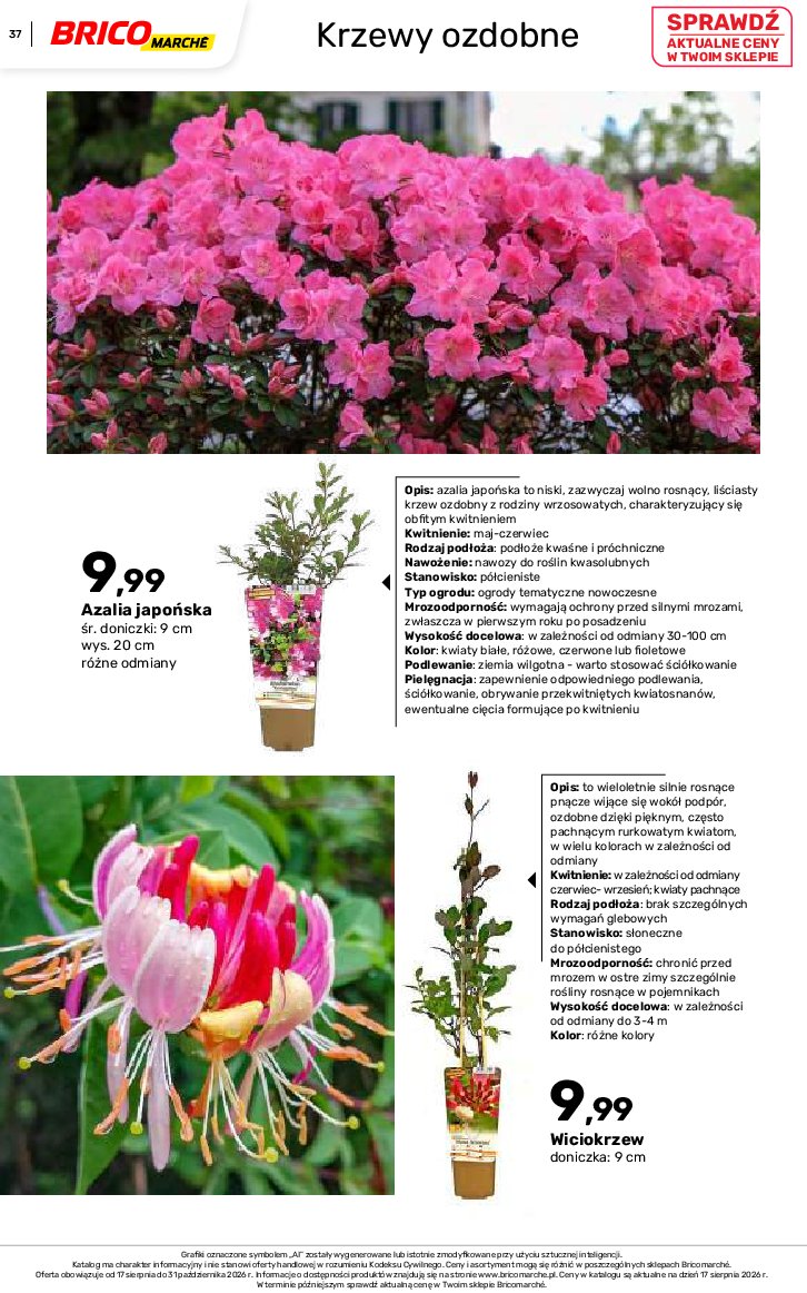 Gazetka Bricomarche 17/08/2026 – 31/10/2026 - gazetki promocyjne str. 37
