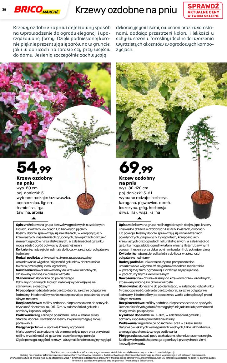 Gazetka Bricomarche 17/08/2026 – 31/10/2026 - gazetki promocyjne str. 38