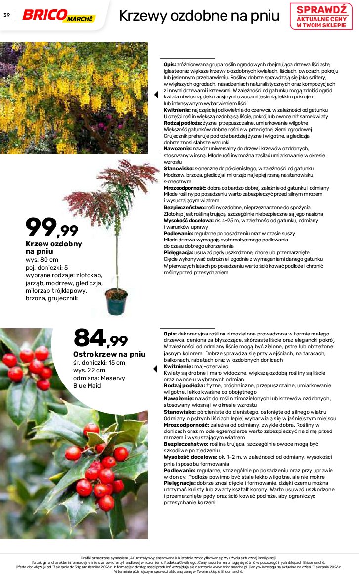 Gazetka Bricomarche 17/08/2026 – 31/10/2026 - gazetki promocyjne str. 39
