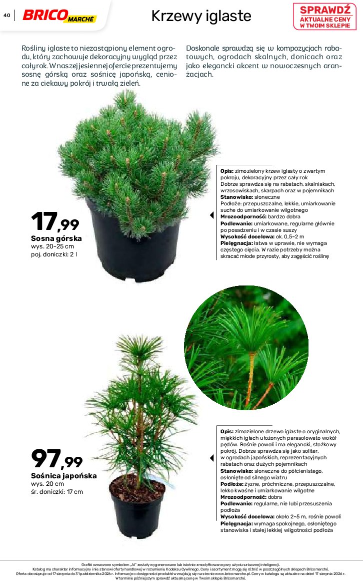 Gazetka Bricomarche 17/08/2026 – 31/10/2026 - gazetki promocyjne str. 40