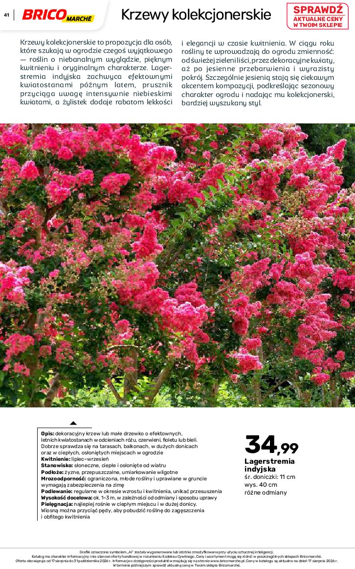 Gazetka Bricomarche 17/08/2026 – 31/10/2026 - gazetki promocyjne str. 41