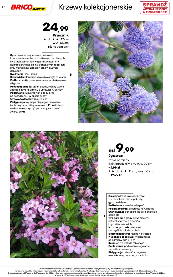 Gazetka Bricomarche 17/08/2026 – 31/10/2026 - gazetki promocyjne str. 42