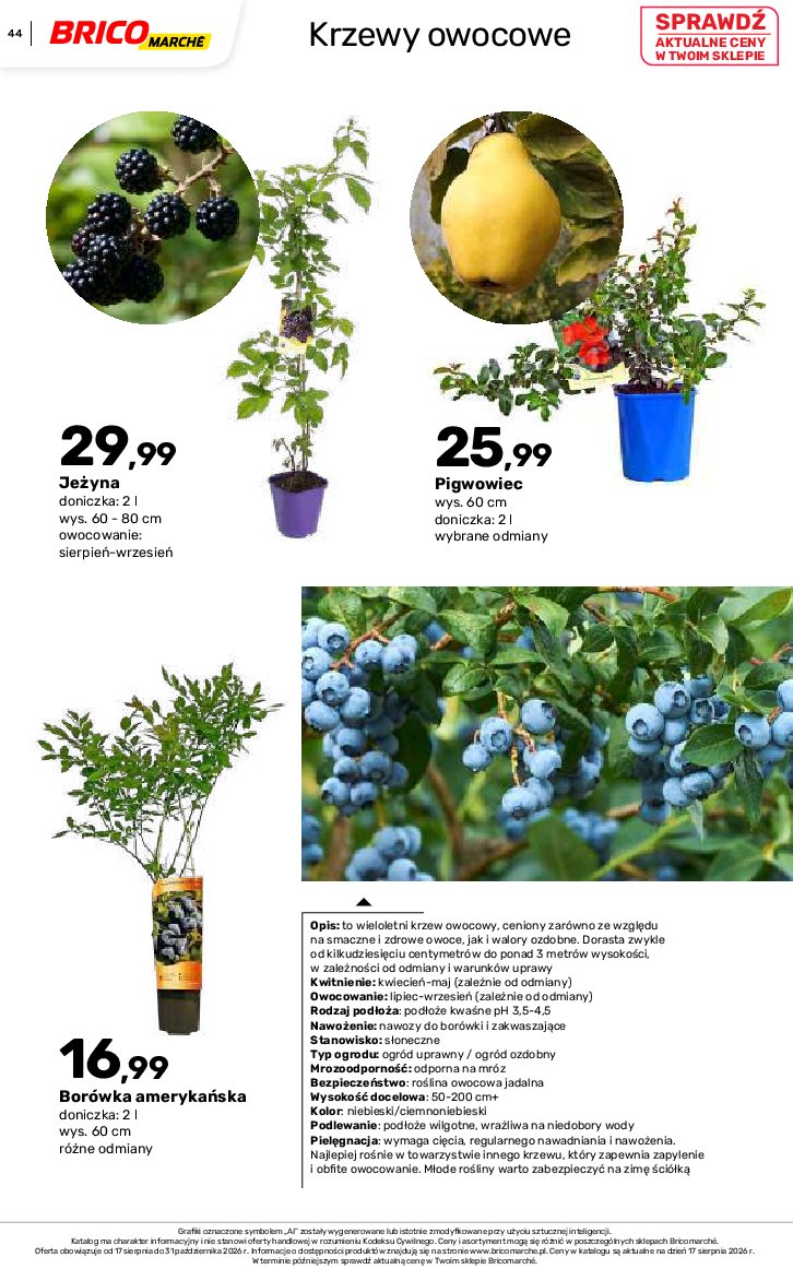 Gazetka Bricomarche 17/08/2026 – 31/10/2026 - gazetki promocyjne str. 44