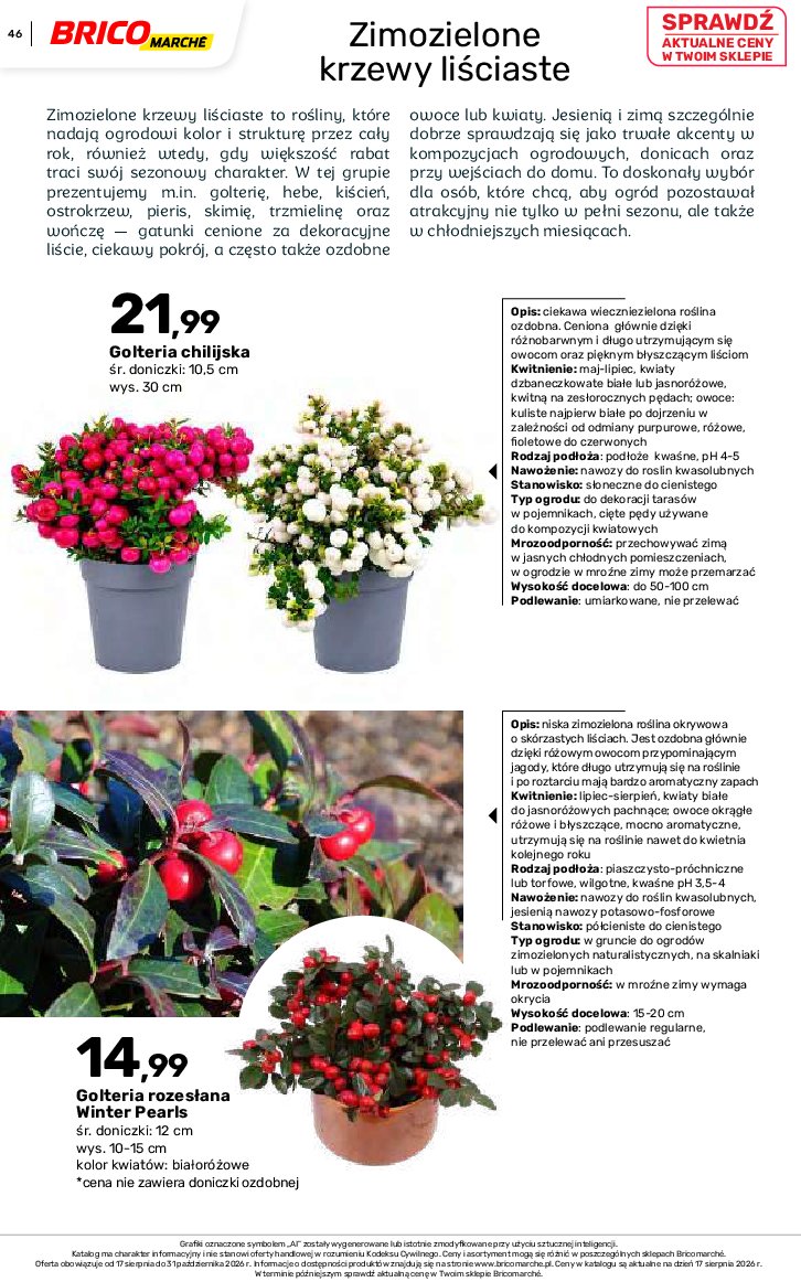 Gazetka Bricomarche 17/08/2026 – 31/10/2026 - gazetki promocyjne str. 46