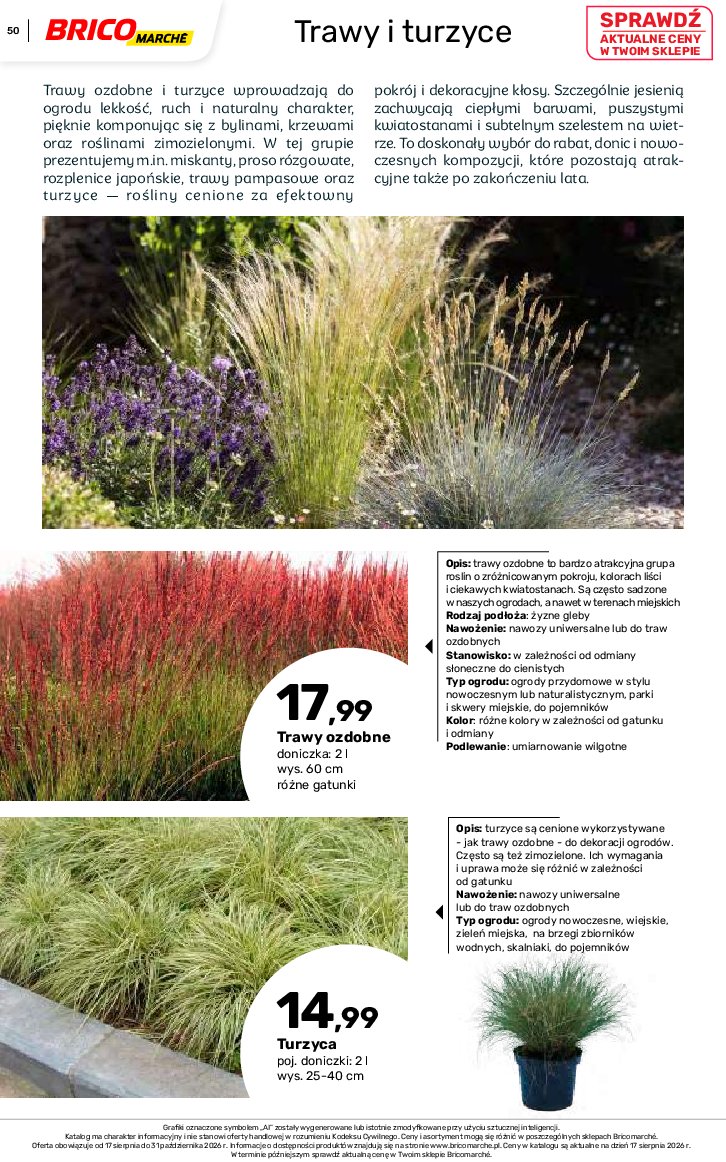 Gazetka Bricomarche 17/08/2026 – 31/10/2026 - gazetki promocyjne str. 50