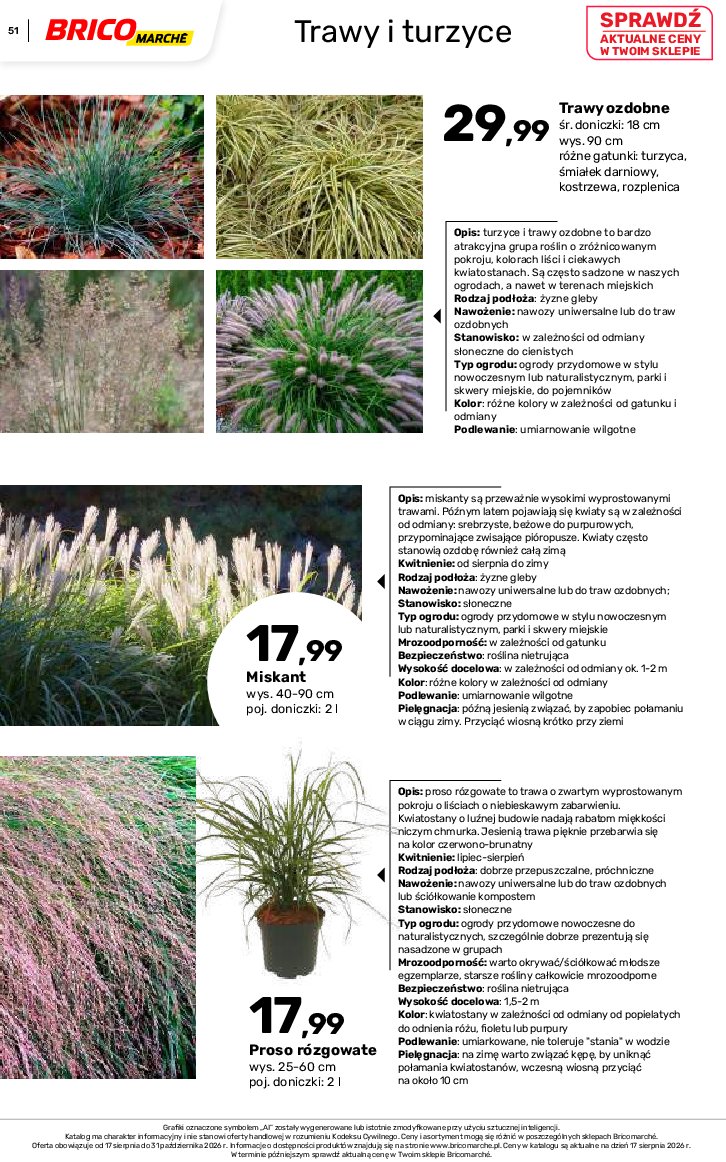 Gazetka Bricomarche 17/08/2026 – 31/10/2026 - gazetki promocyjne str. 51