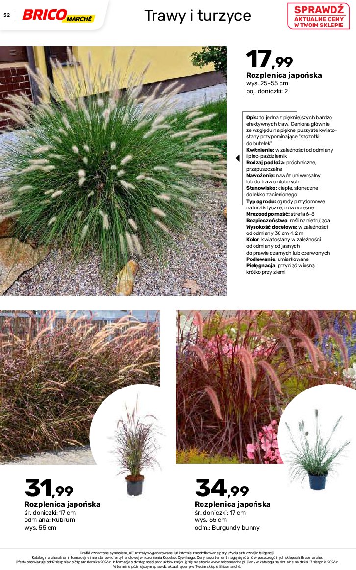 Gazetka Bricomarche 17/08/2026 – 31/10/2026 - gazetki promocyjne str. 52