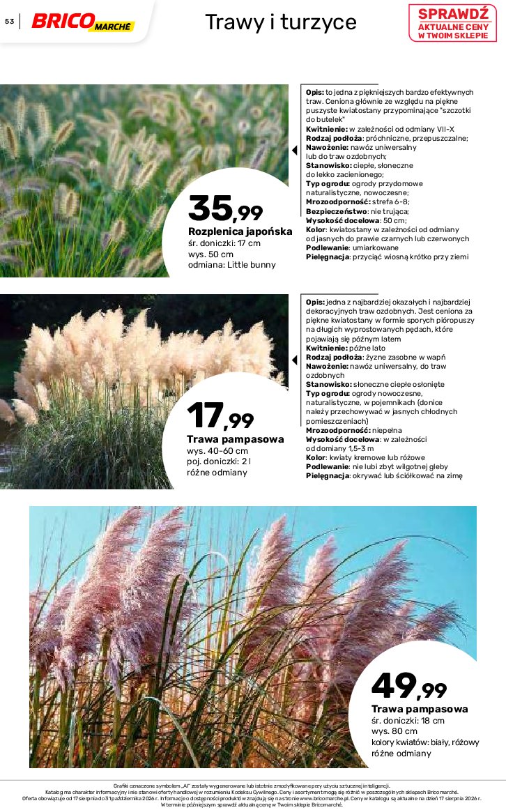 Gazetka Bricomarche 17/08/2026 – 31/10/2026 - gazetki promocyjne str. 53