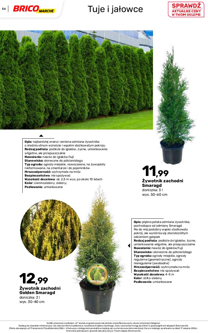 Gazetka Bricomarche 17/08/2026 – 31/10/2026 - gazetki promocyjne str. 56