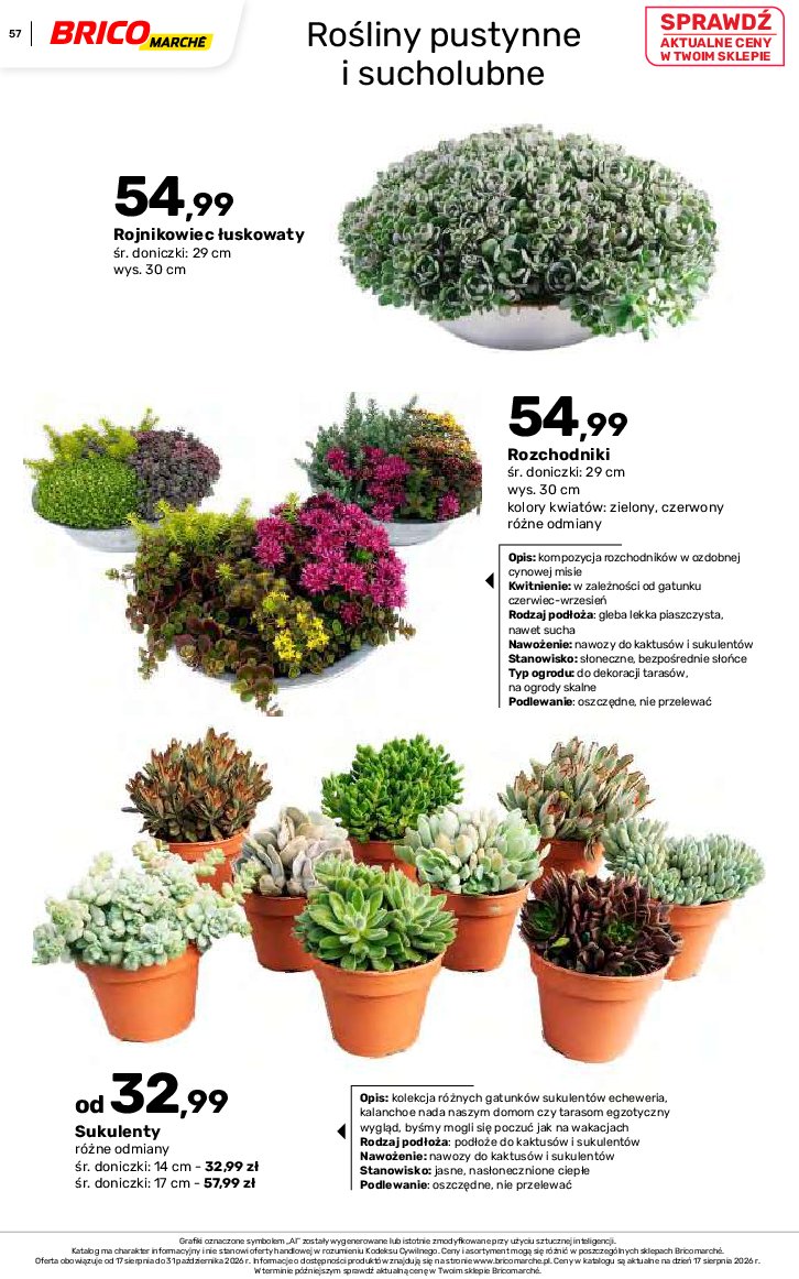Gazetka Bricomarche 17/08/2026 – 31/10/2026 - gazetki promocyjne str. 57