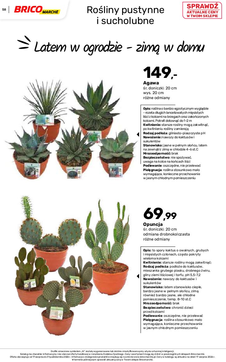 Gazetka Bricomarche 17/08/2026 – 31/10/2026 - gazetki promocyjne str. 58