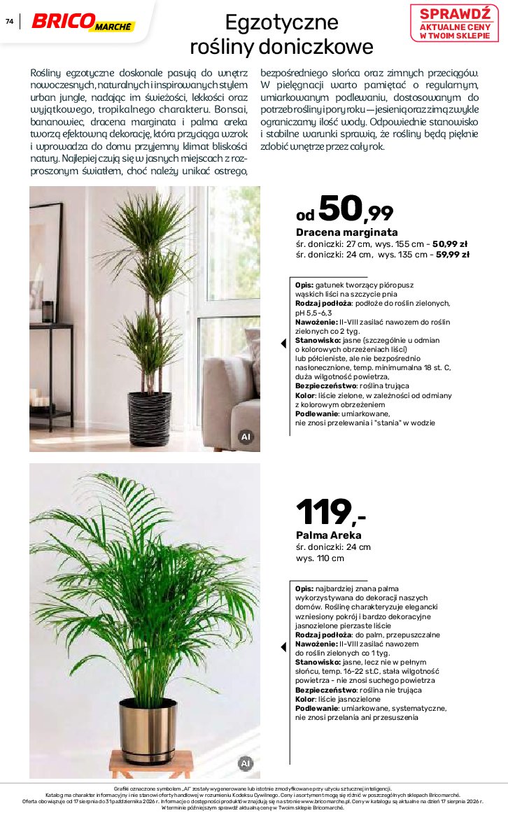 Gazetka Bricomarche 17/08/2026 – 31/10/2026 - gazetki promocyjne str. 74