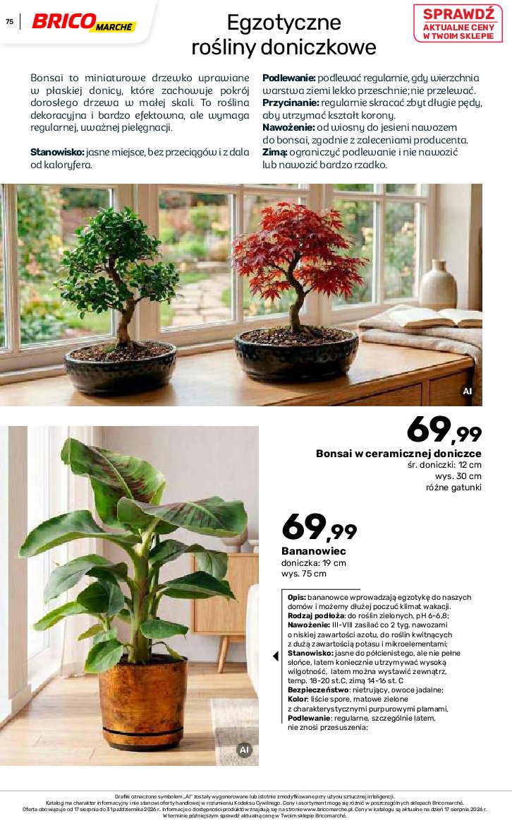 Gazetka Bricomarche 17/08/2026 – 31/10/2026 - gazetki promocyjne str. 75