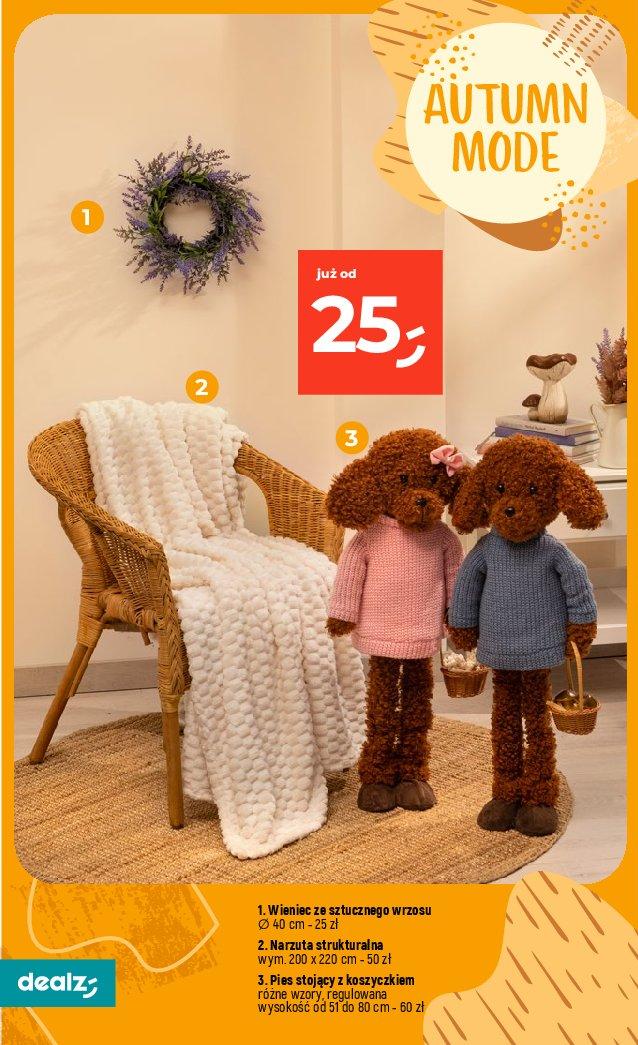 Gazetka Dealz 13/08/2026 – 19/08/2026 - gazetki promocyjne str. 38