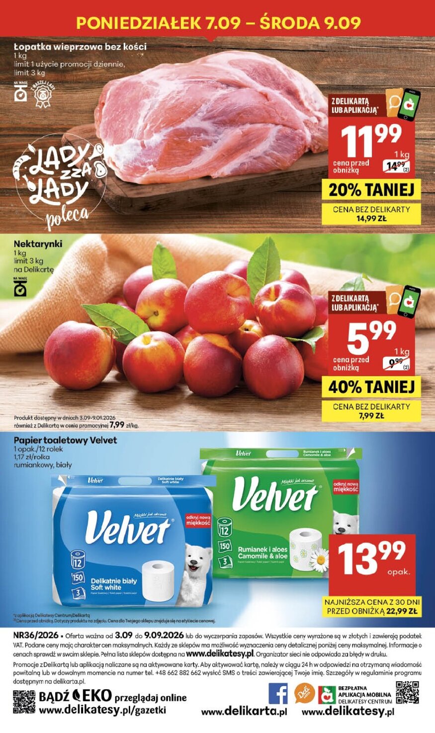 Gazetka Delikatesy-centrum 03/09/2026 – 09/09/2026 - gazetki promocyjne str. 40